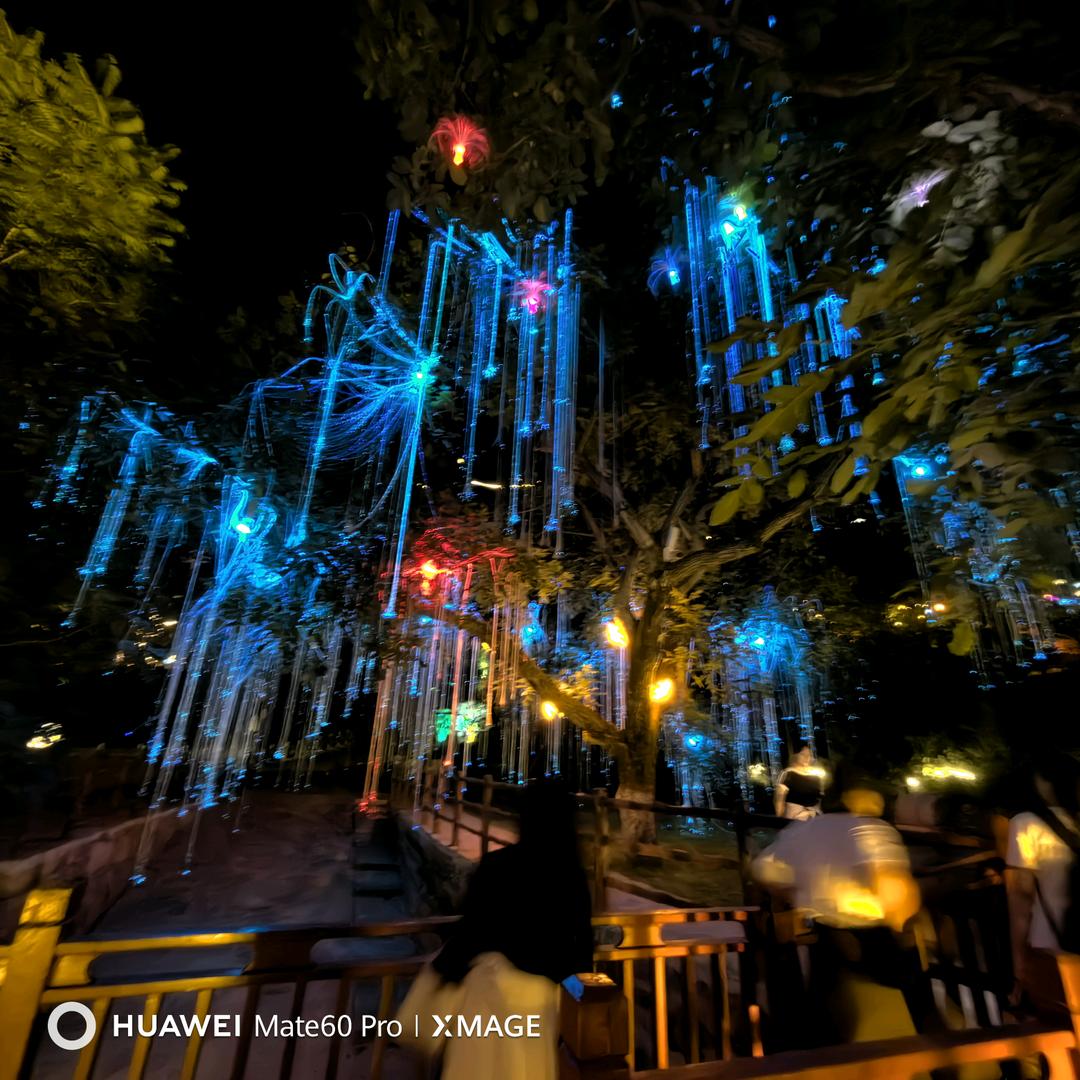 向💰看，别回头