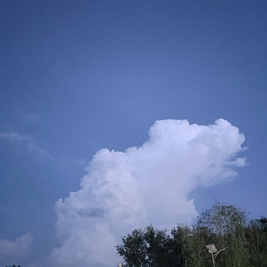 光明爱音乐