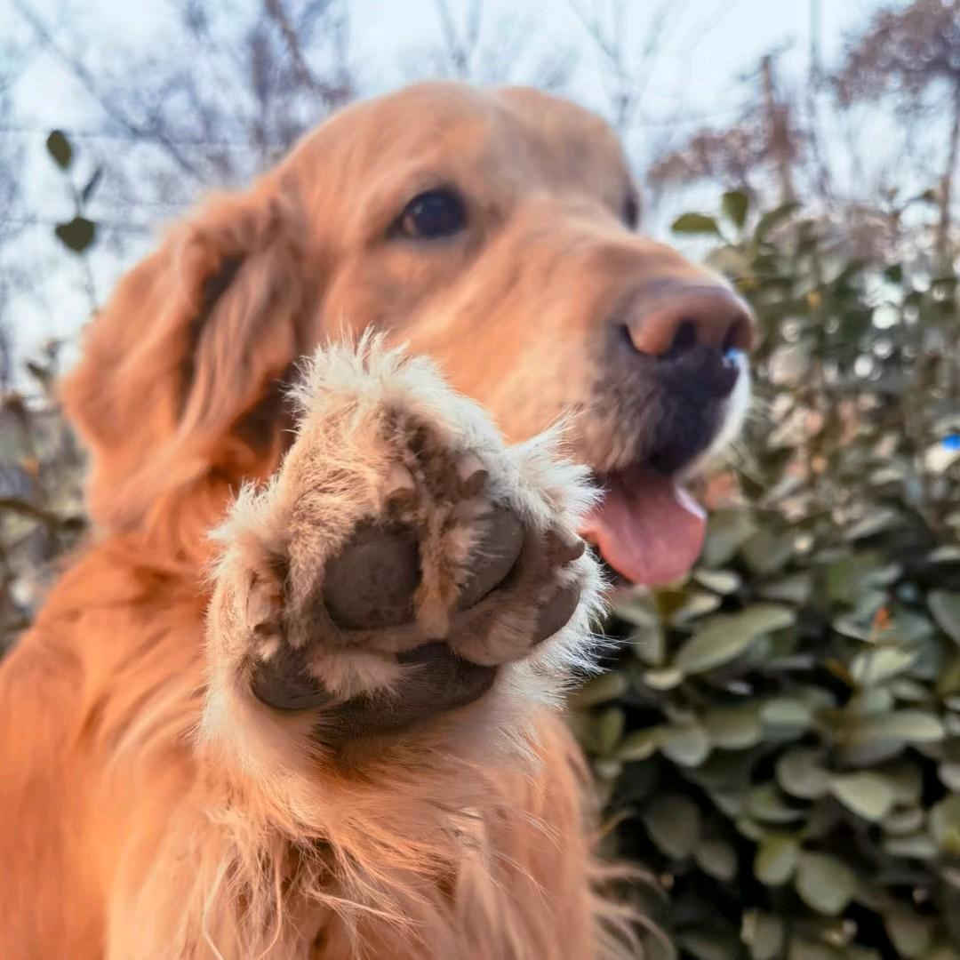 想了半天没名字
