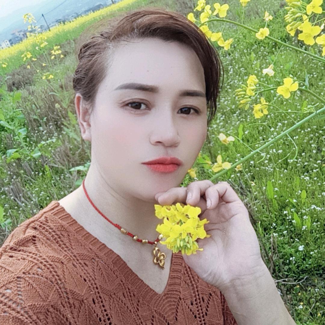 凤