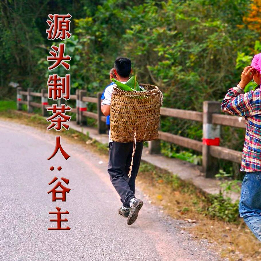 谷主私房茶
