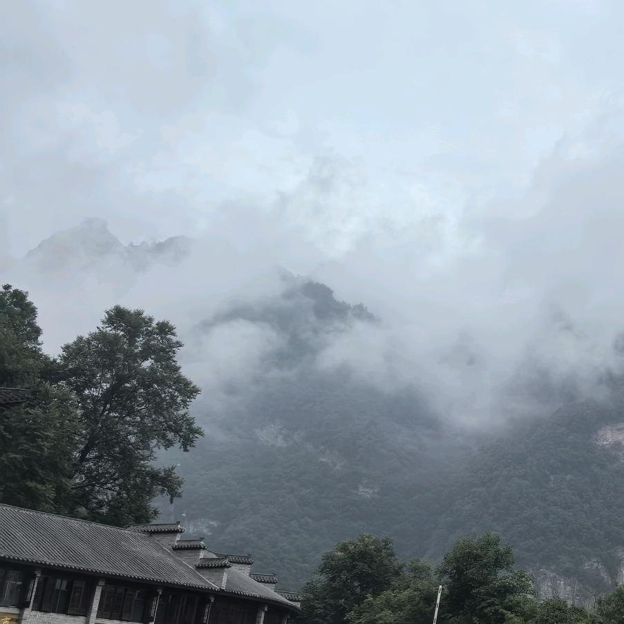 D.C充绒充棉