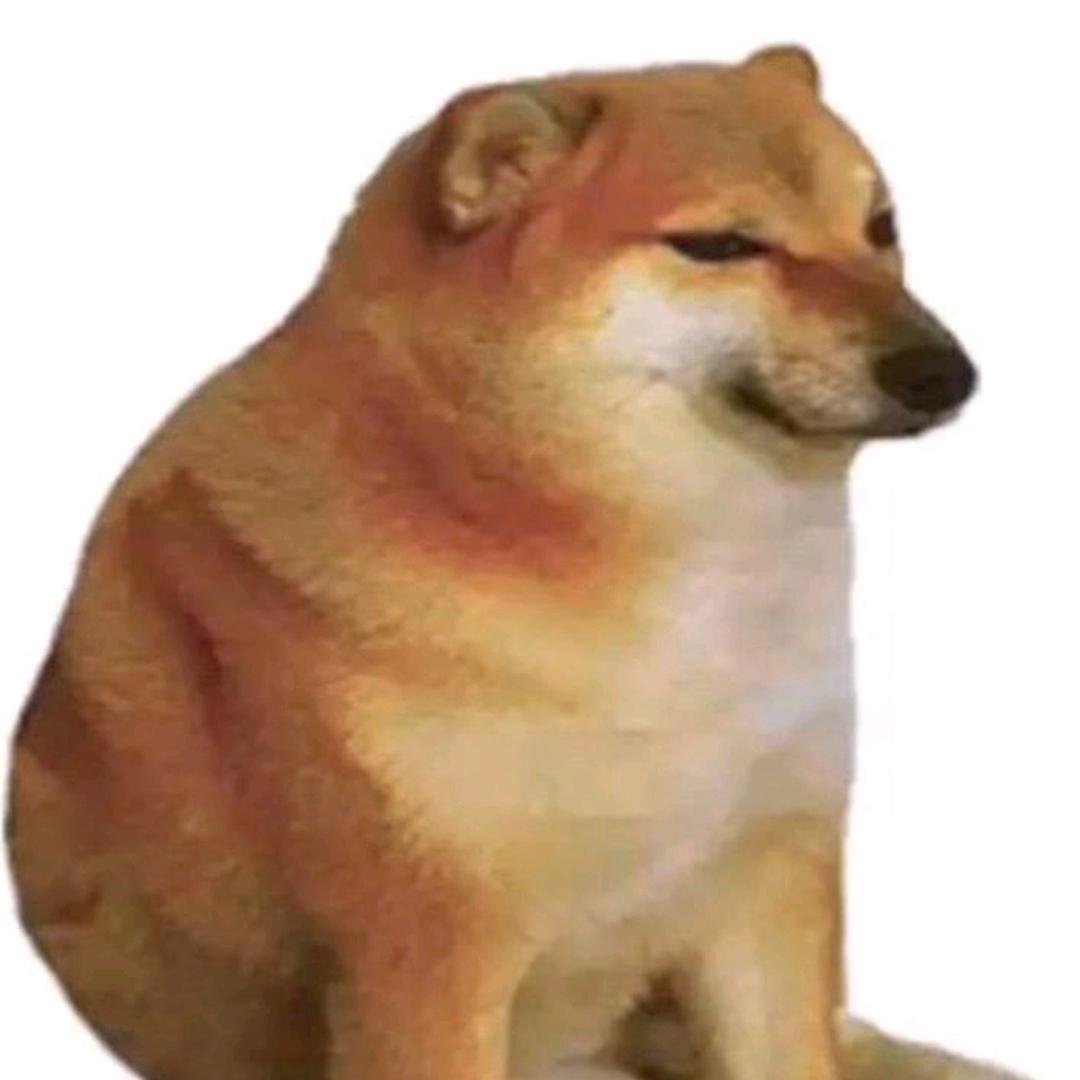 十二动画