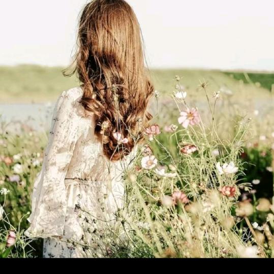 用户芬8777868867085