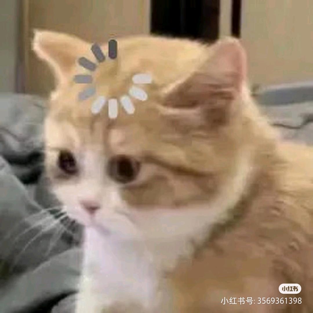 赚钱花