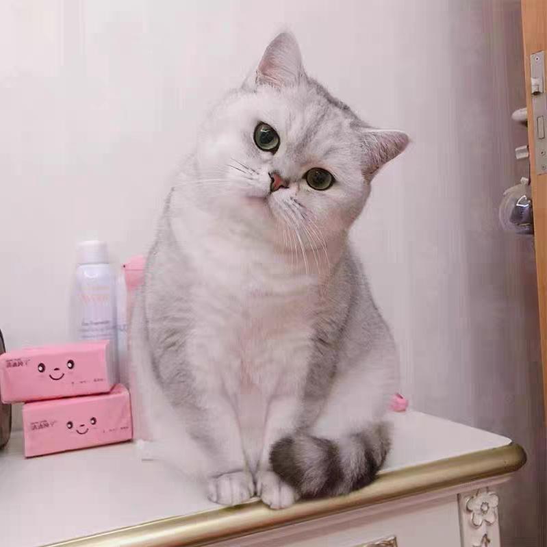 丫头