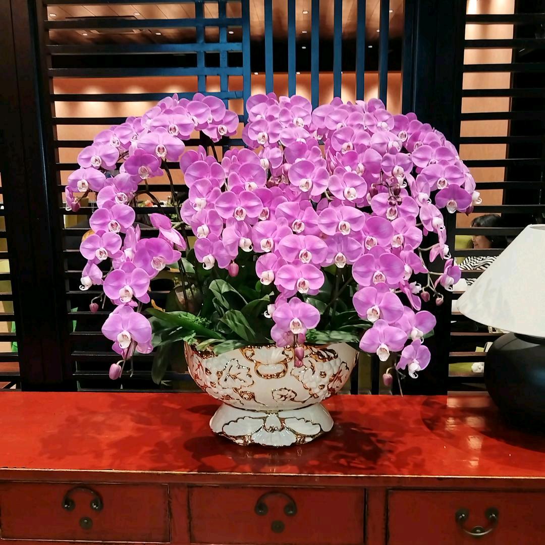 秋月春风
