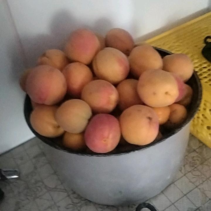 新疆特色家常美食