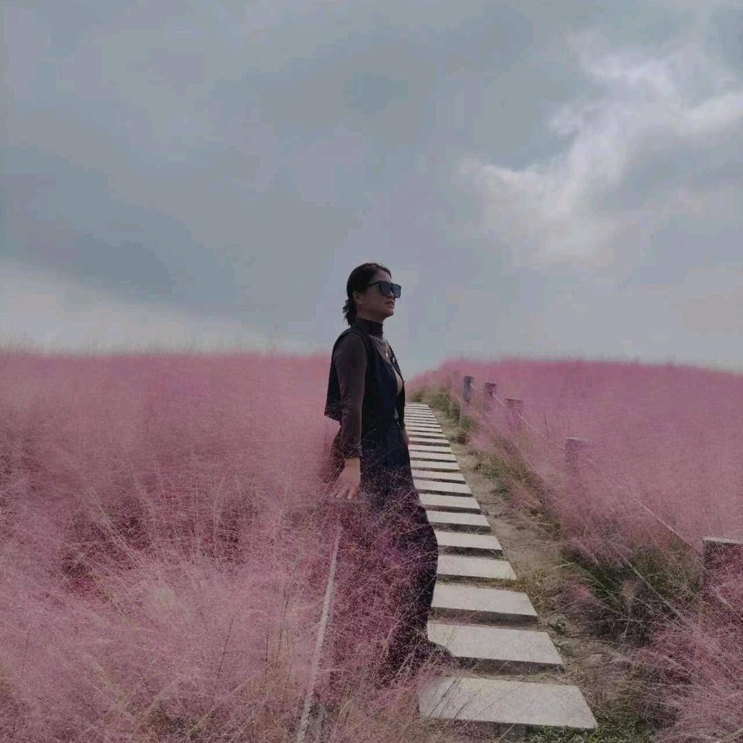 云蒸霞蔚
