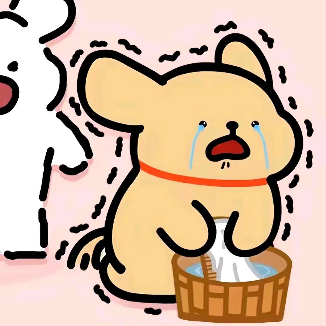 清河君