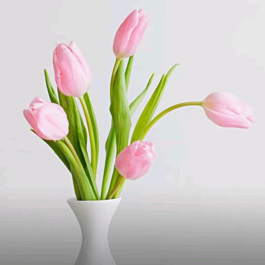 🥀ಇ上火ജഒᩚ࿐