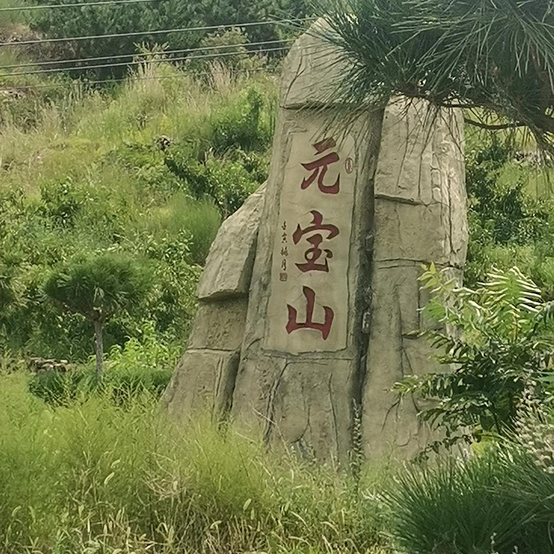 白天不懂夜的黑202