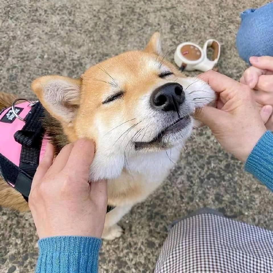 老玉