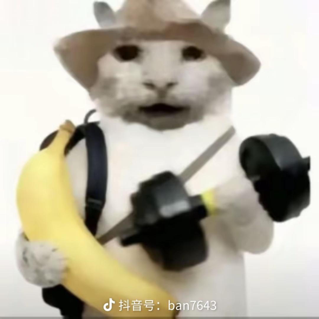 早睡也起不来