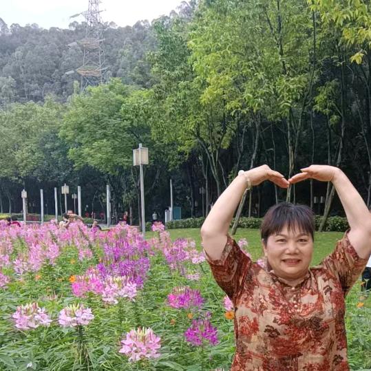 刘莉