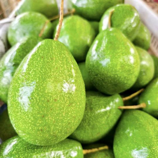 逆转星辰，，，，绿色果园西胪