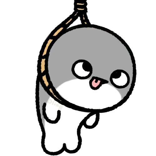 祁星阔 (▼ヘ▼)