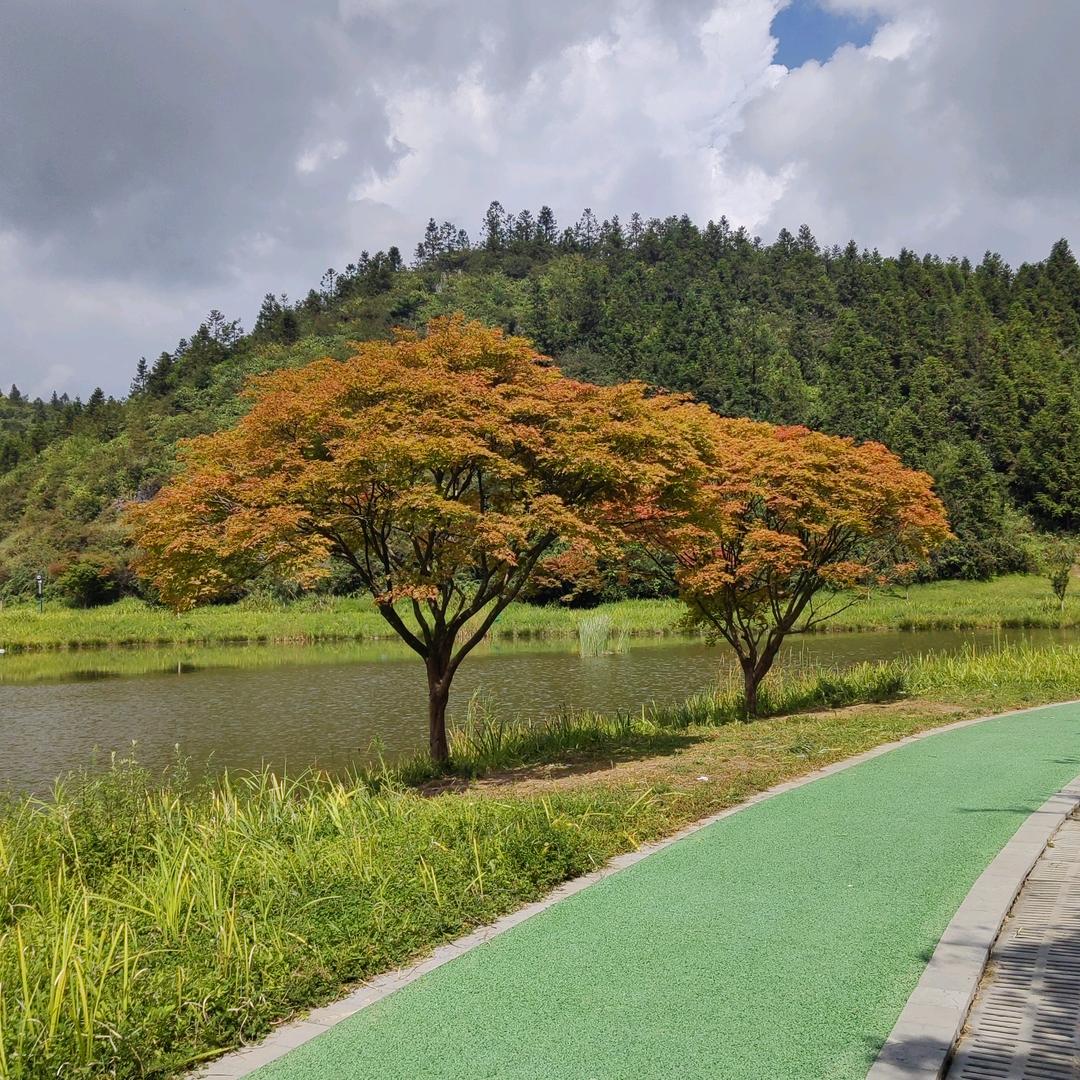 ℳ̶̶̶̶♡̶清风烈酒ℳ醉人心ᥫᩣ