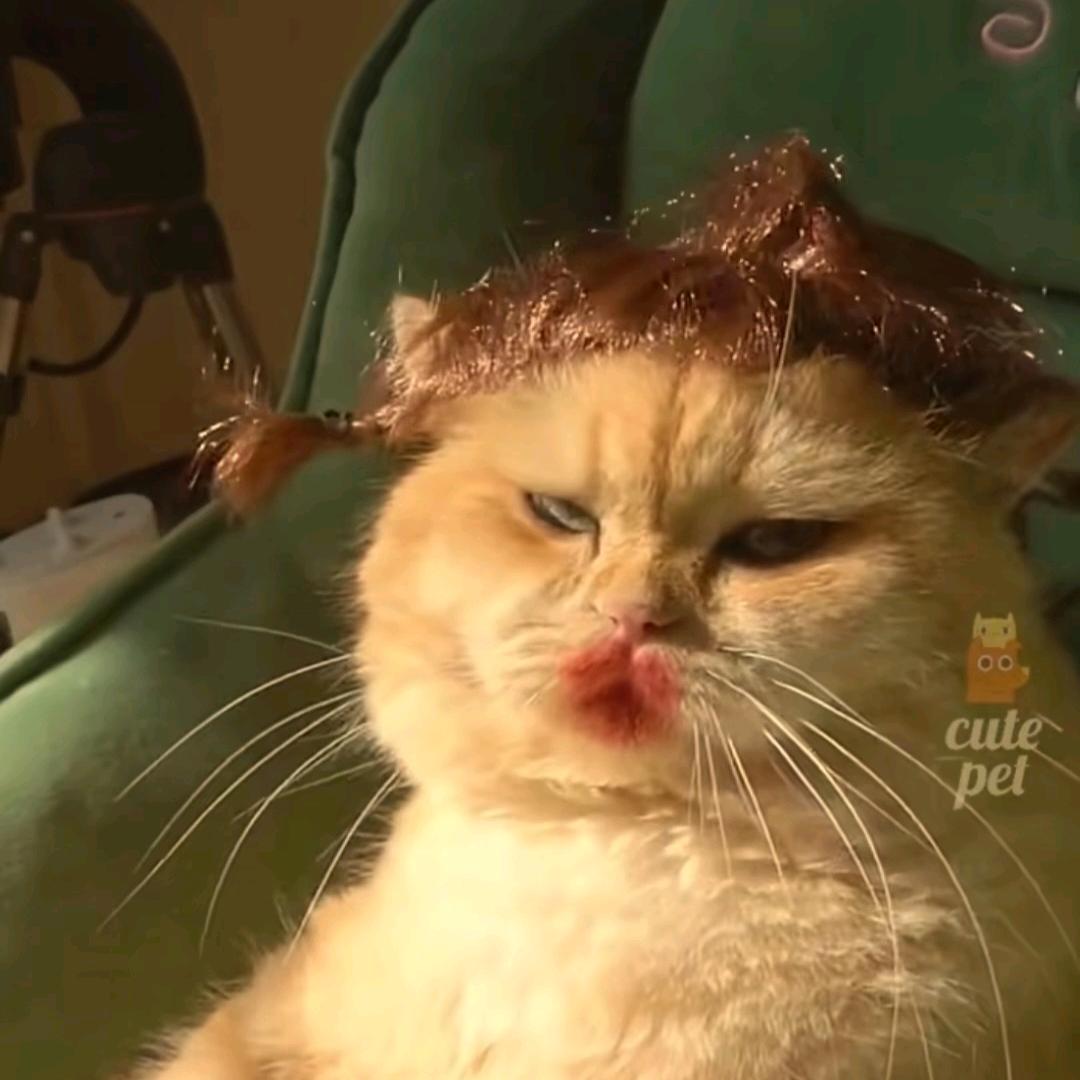 鬼迷心窍康宝儿