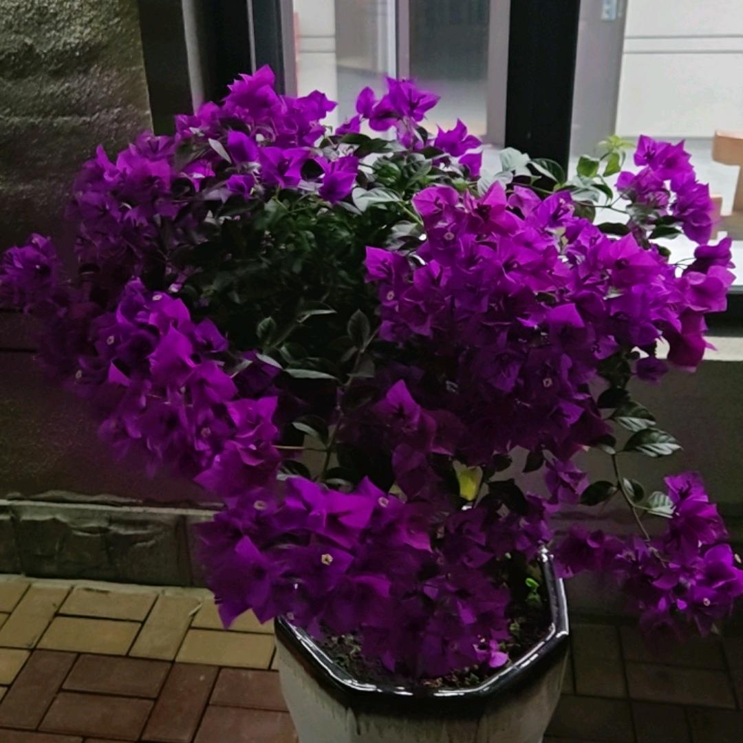 榆树庄稼院
