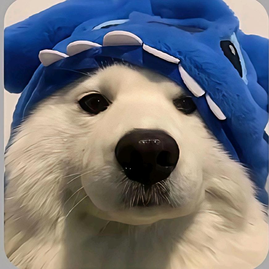 大坝鼠鼠（三角洲）