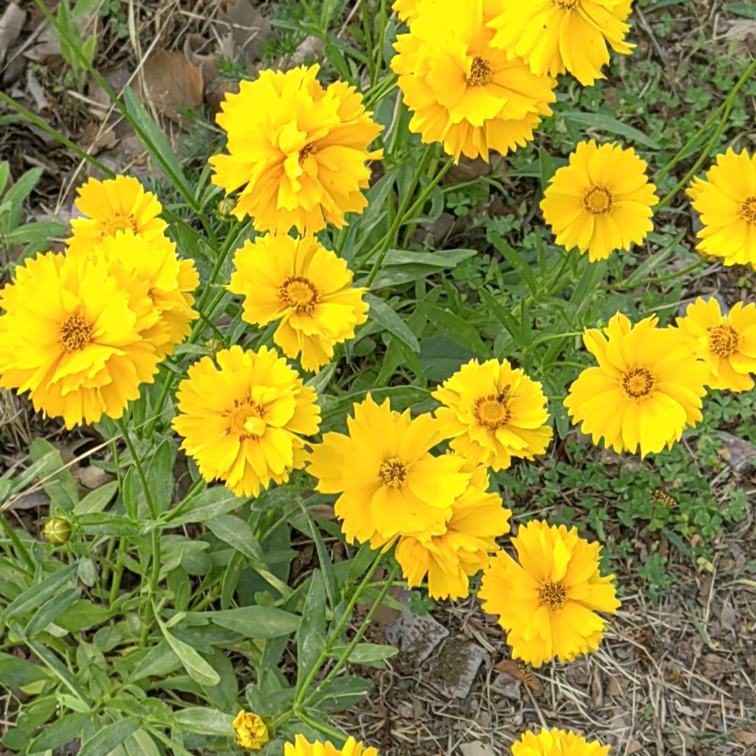 苦乐人生，！！！