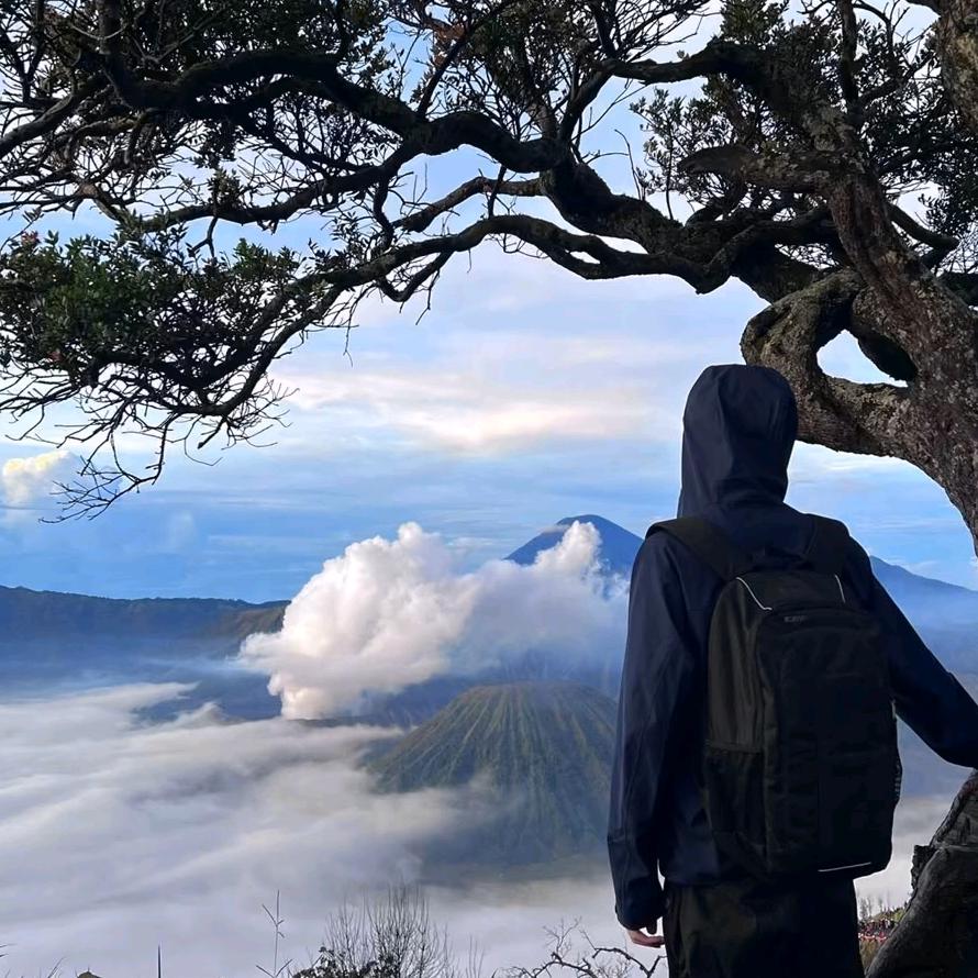 和平精英神轩