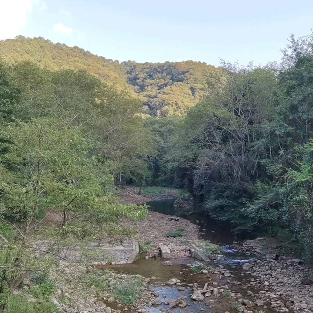 烟雨江南
