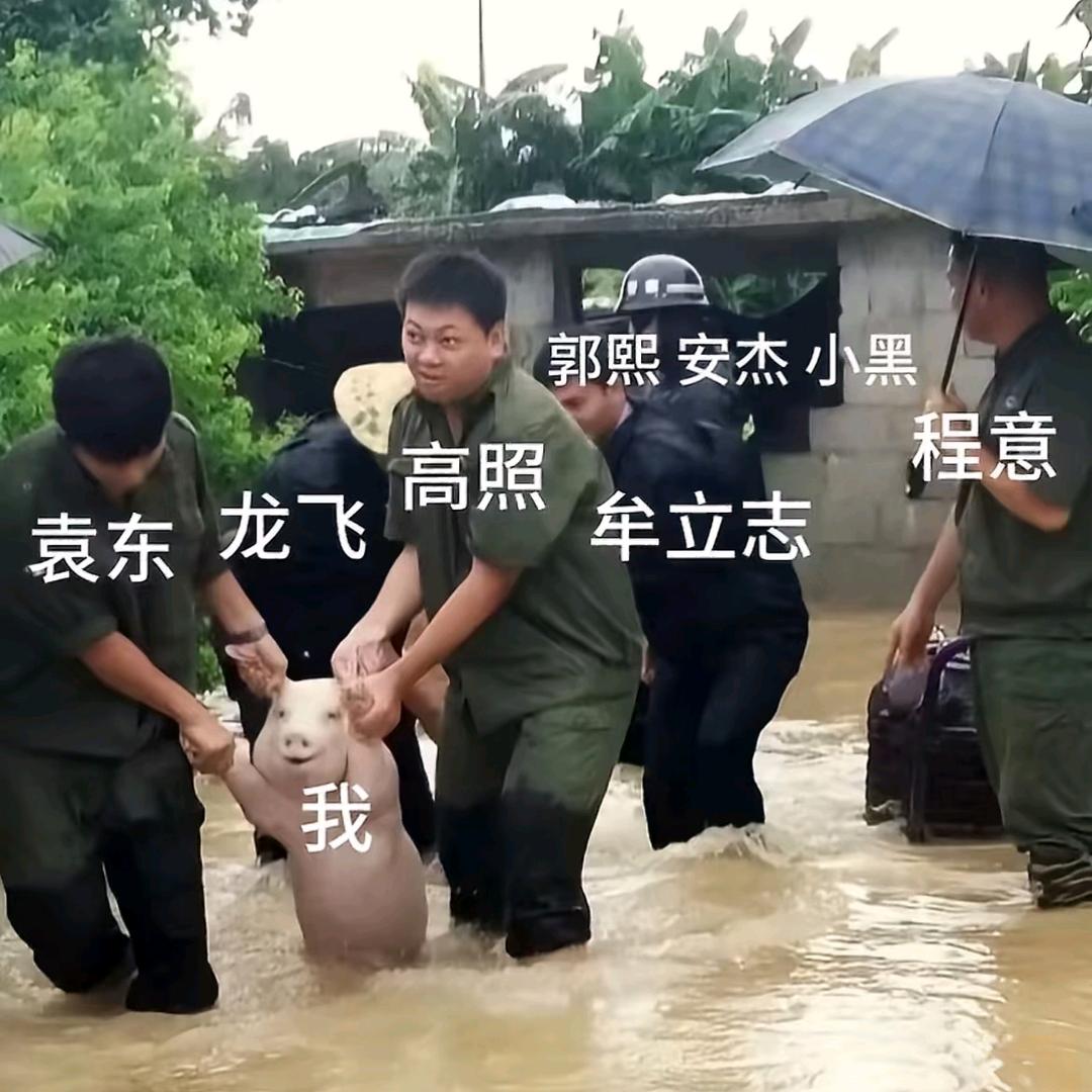 我不发疯