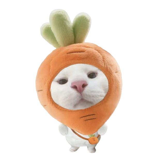 Wangwp