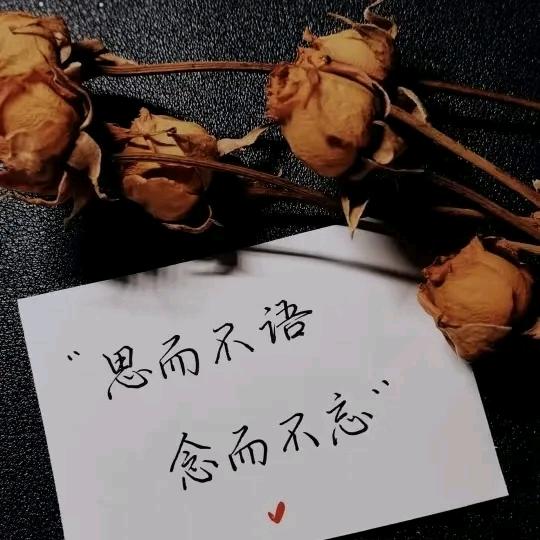 周生辰