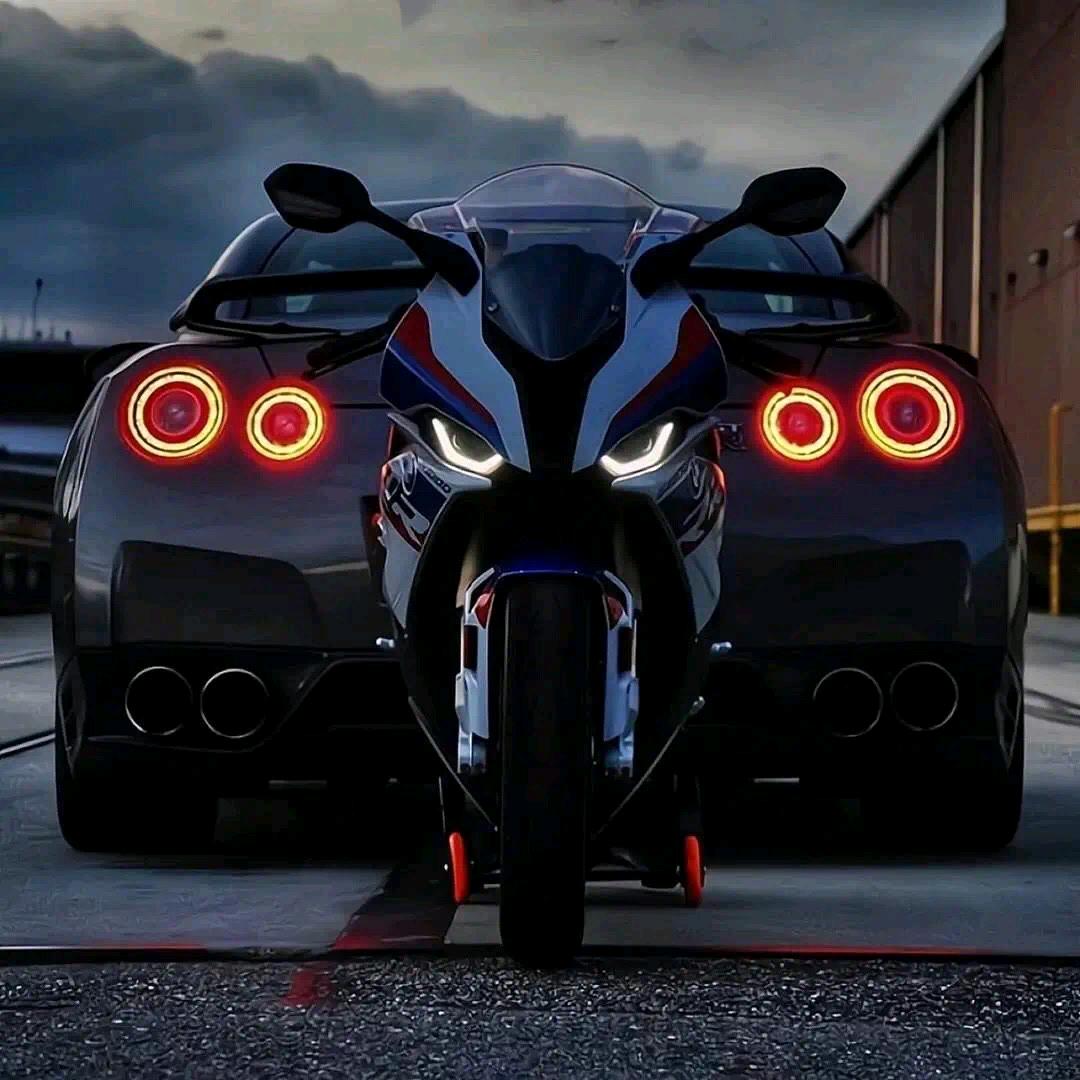 ʜᴀᴘᴘʏ̆̈ ～🐾