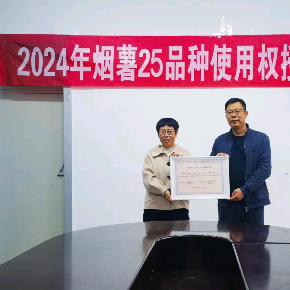 烟台红薯姐，