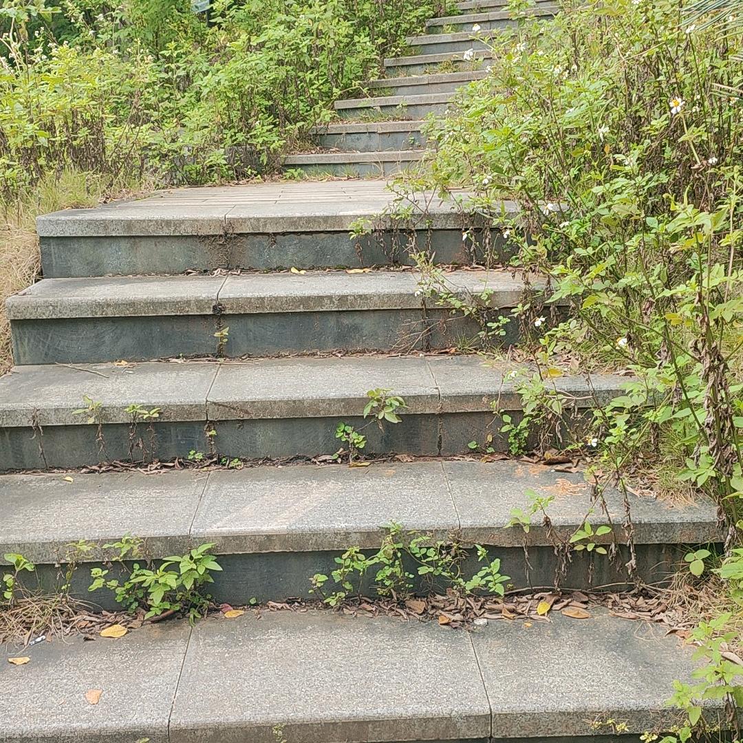 ☆