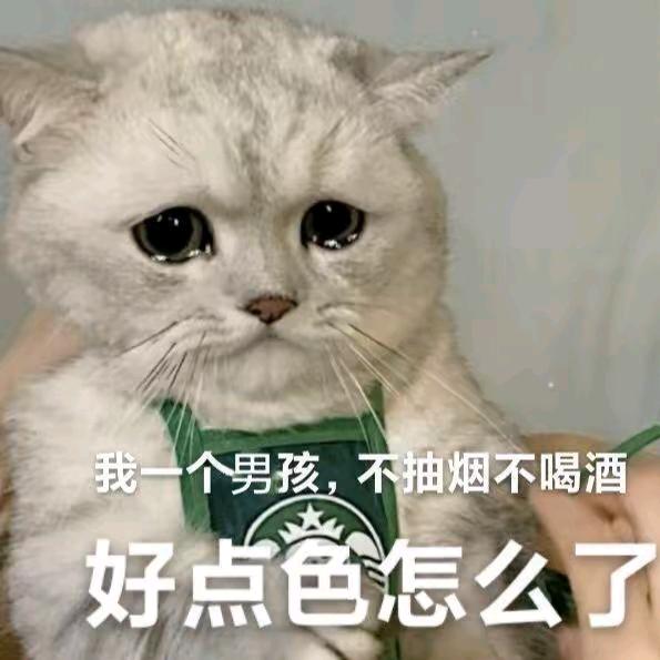 83岁老帅哥独自在公交车轮流被少妇让座