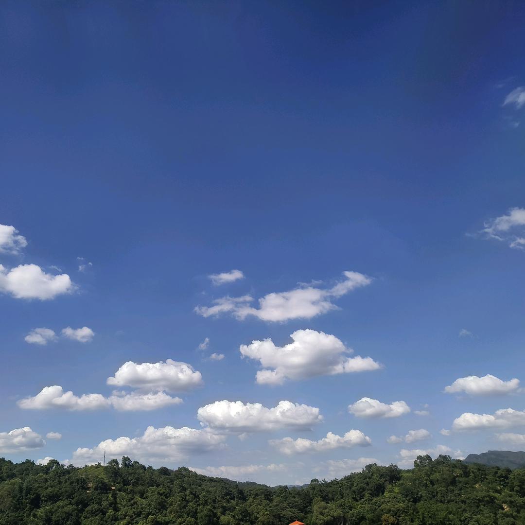 爱画画的Emily陈 成长记