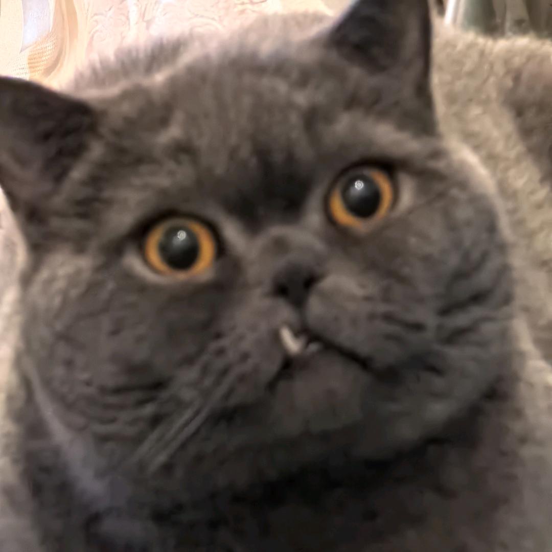RONI