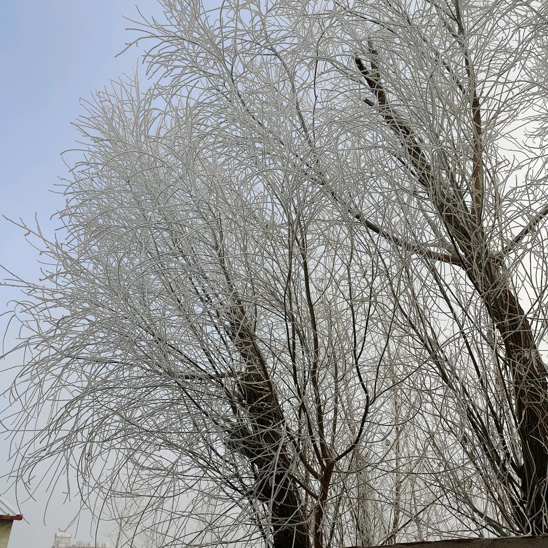 晨曦之光
