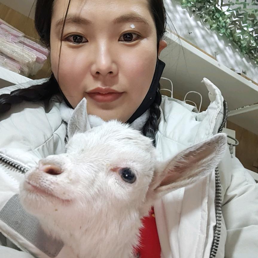 王晓叫乌兰ᠸᠦᠯᠠᠨ