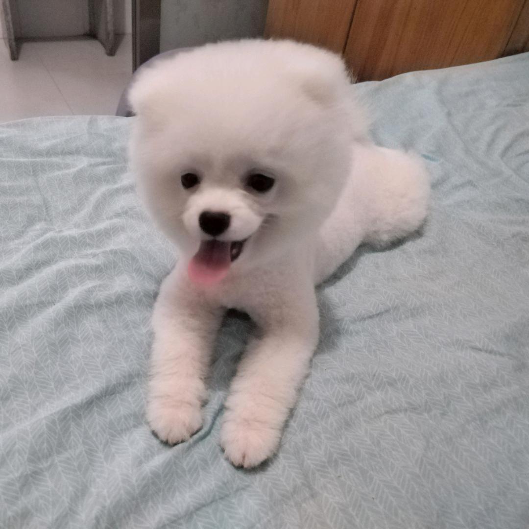 嗳妳❤️訫❤️變壞