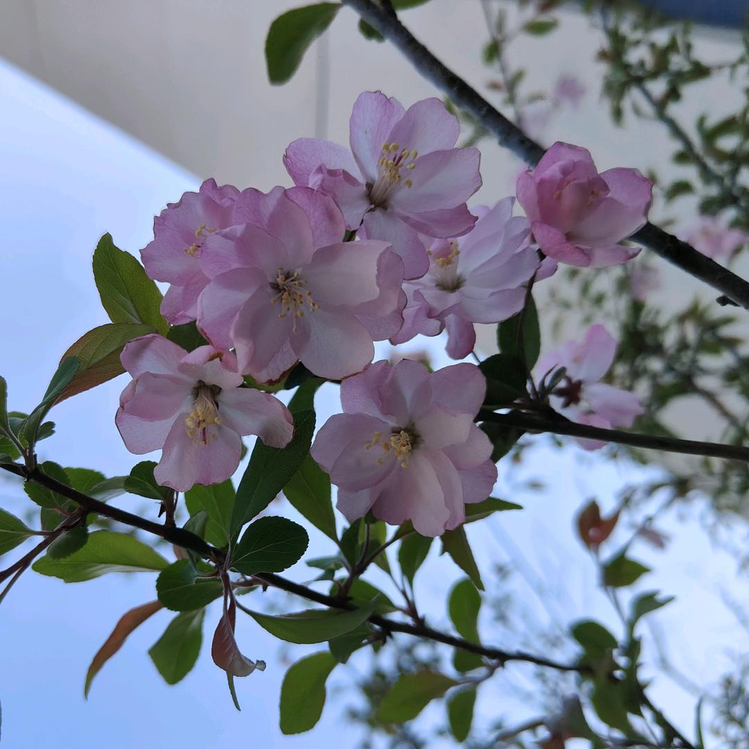 慢走（有关必回）