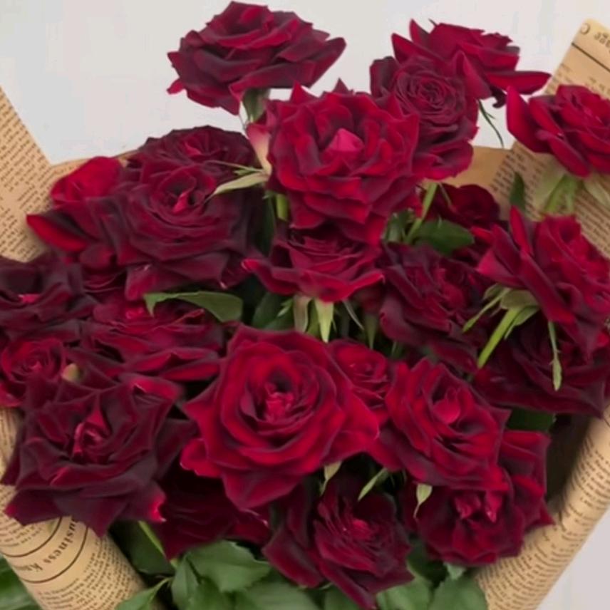 海口美兰凉唯丝传媒工作室