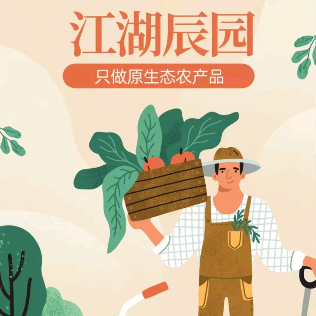 江湖辰园