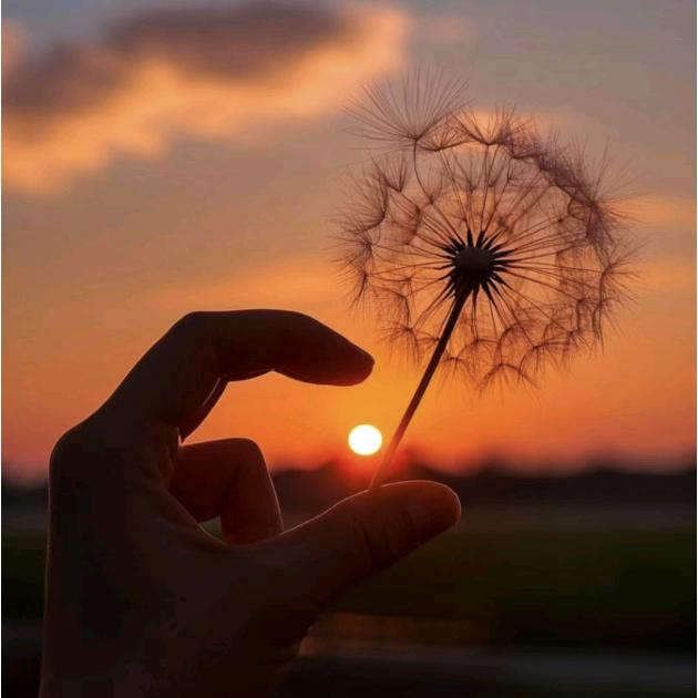 ㄣ莣不孒ㄣ（见到叶CC本人）