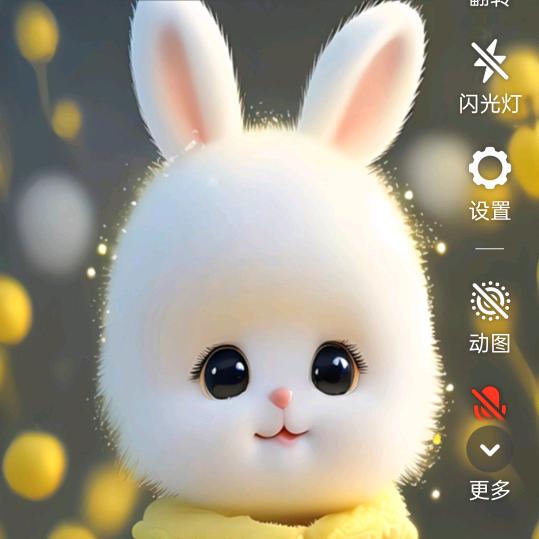 锦鲤