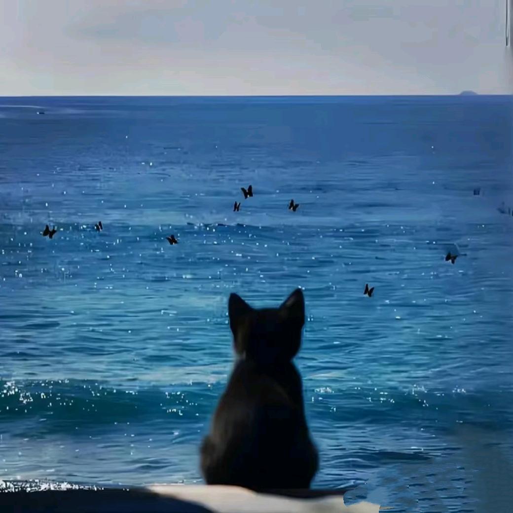 宝宝宝宝宝宝