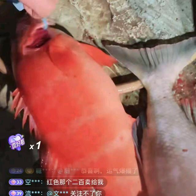 随风随行1