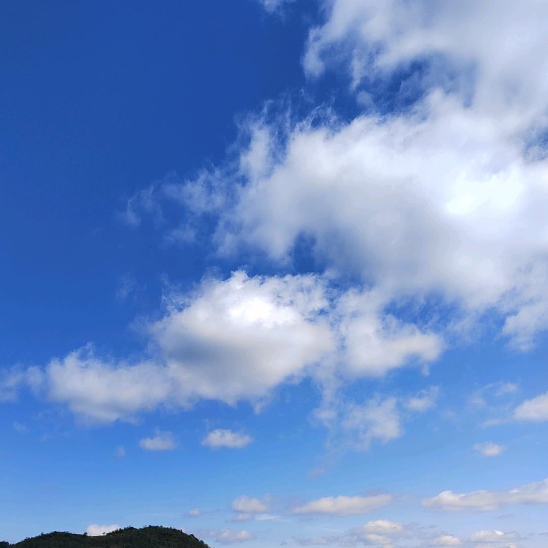 小芳
