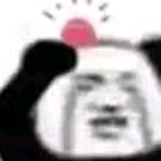 飞起来