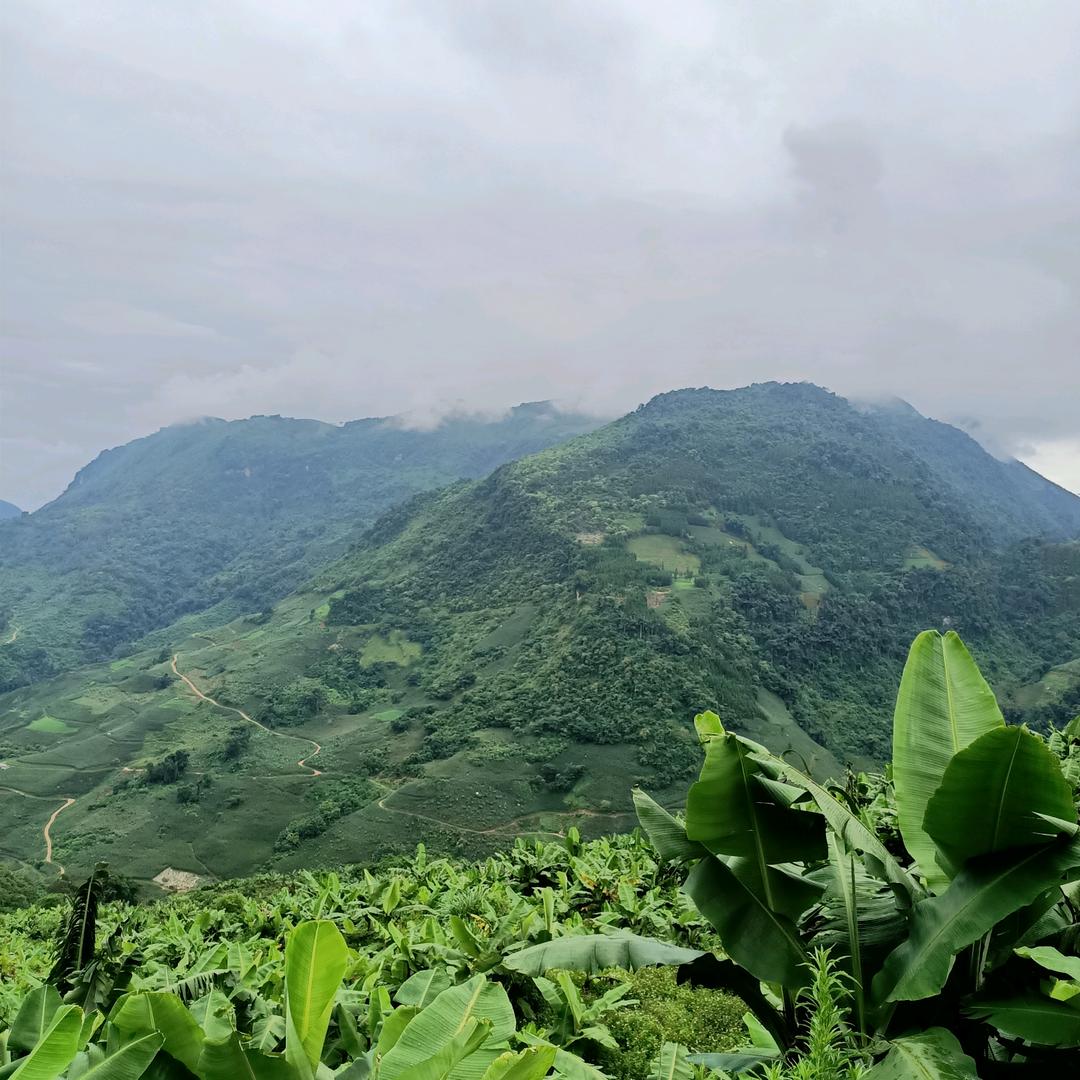 对方9次请求你加为好友@抖音